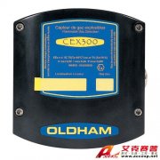 INDUSTRIAL SCIENTIFIC CEX 300 可燃?xì)怏w檢測器