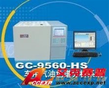 GC-9560車用汽油色譜系統