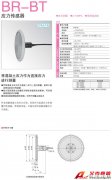 KYOWA BR-BT 應力傳感器